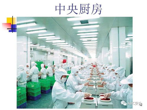 食品安全法與餐飲服務(wù) 筑牢健康防線，守護“舌尖上的安全”