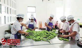 綿陽市“明廚亮灶”工程成效顯著，餐飲服務(wù)單位覆蓋率突破75.5%